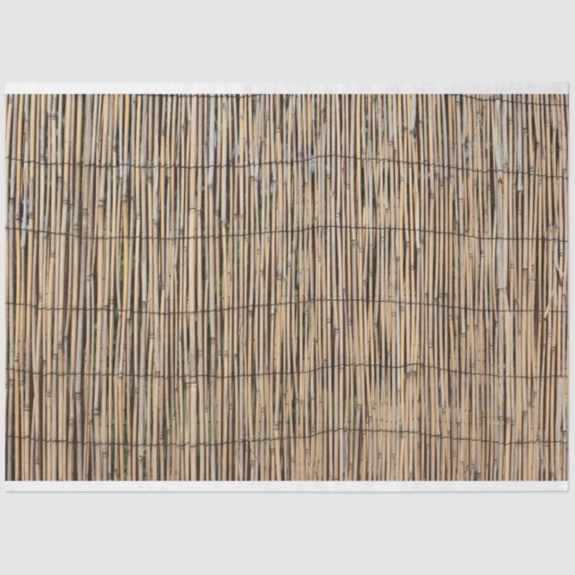 Bamboo Tissue Paper (Front)