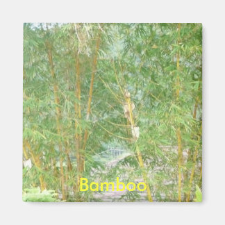 Bamboo trees, Bamboo magnet