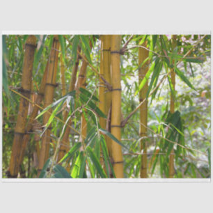 Bamboo Trees Decoupage 15 Background Tissue Paper