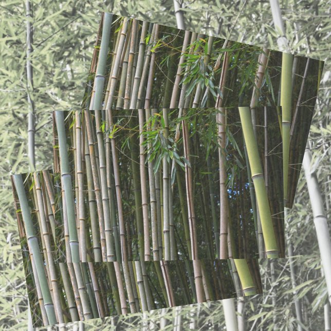 Bamboo Trees Grove Natural Photographic Tissue Paper (Creator Uploaded)