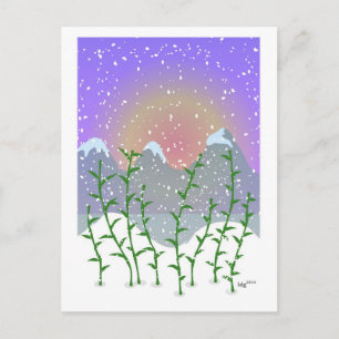 Bamboo Winter Postcard
