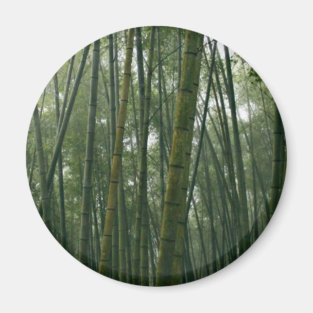 Bamboos Magnet (Front)