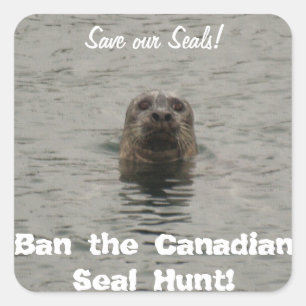 Ban the Canadian Seal Hunt Wildlife Support