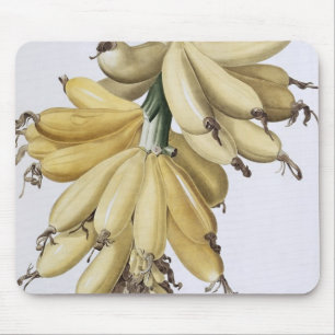 Banana, 1816 mouse mat