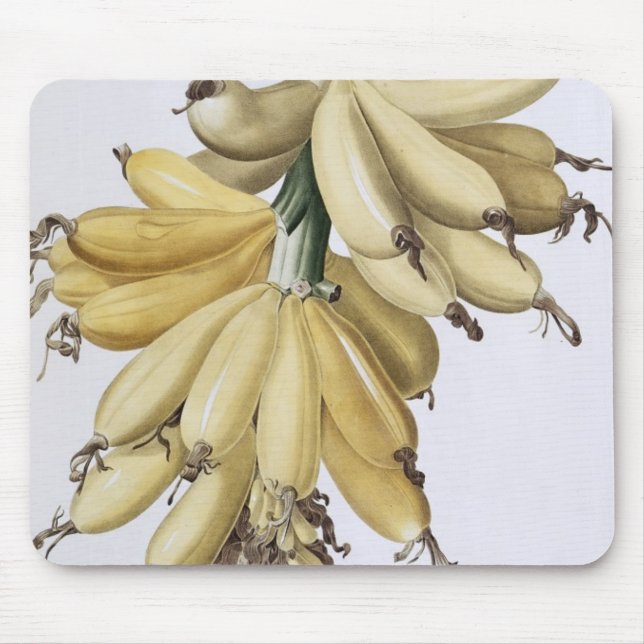 Banana, 1816 mouse mat (Front)