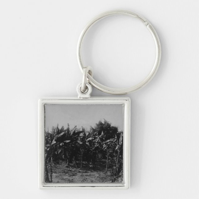 Banana Cultivation, Trinidad, c.1891 Key Ring (Front)