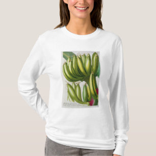 Banana, engraved by Johann Jakob Haid (1704-67) pl T-Shirt