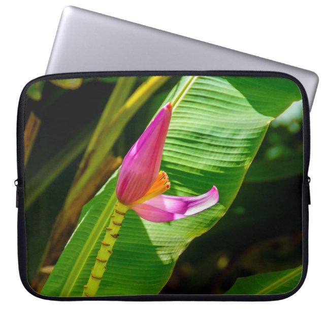 Banana Flower, Limahuli Gardens, Kauai Wetsuit Laptop Sleeve (Front)