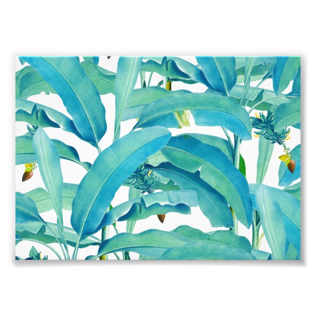 Banana Forest Photo Print (Front)