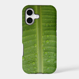 Banana Leaf