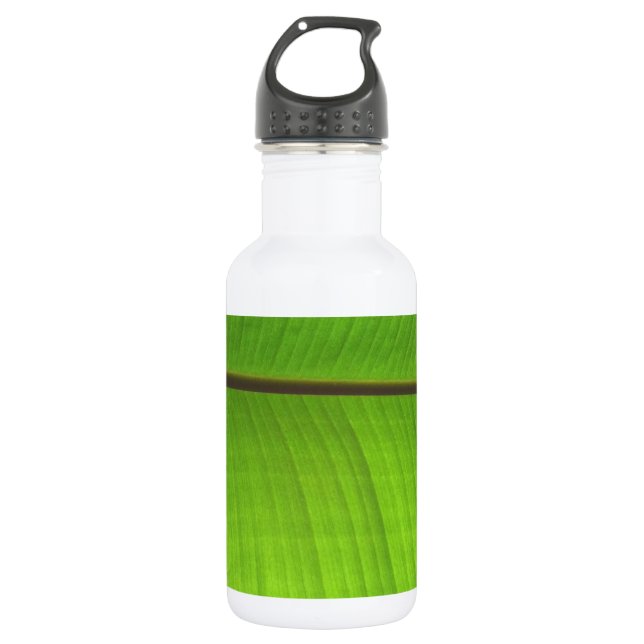 Banana Leaf Close-Up 532 Ml Water Bottle (Front)