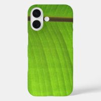 Banana Leaf Close-Up