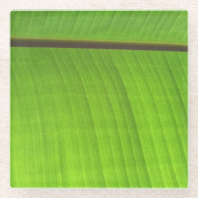 Banana Leaf Close-Up Glass Coaster (Front)