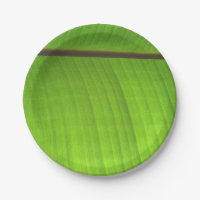 Banana Leaf Close-Up