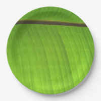 Banana Leaf Close-Up
