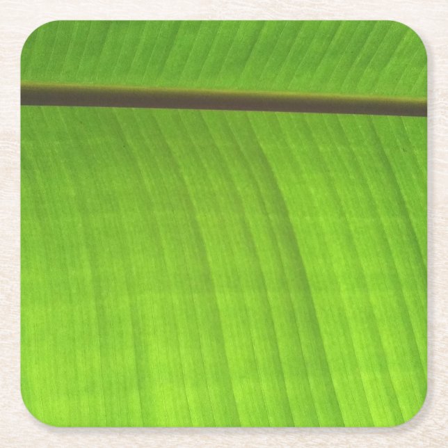 Banana Leaf Close-Up Square Paper Coaster (Front)
