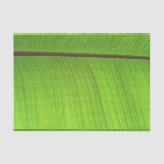 Banana Leaf Close-Up Tissue Paper (Front)