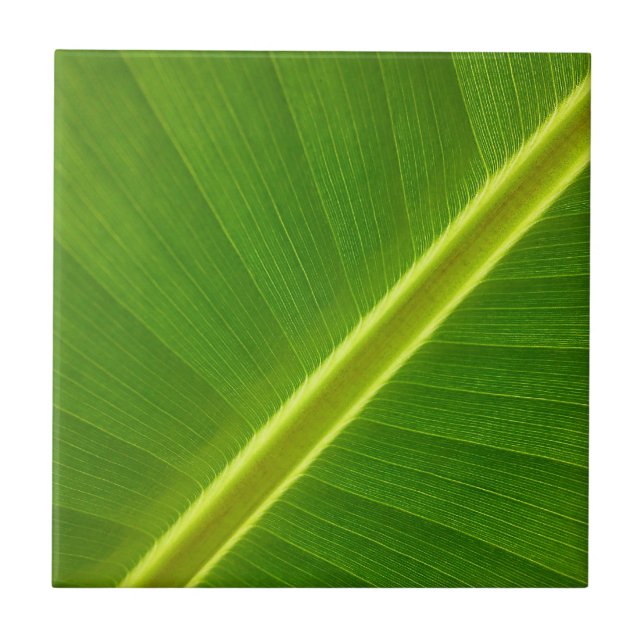 Banana Leaf Tile (Front)
