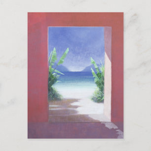 Banana Palms 2005 Postcard