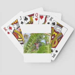 Banana plantation in Sok Kwu Wan Lamma Island Playing Cards