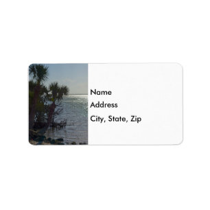 Banana River Palm Trees Painterly Label