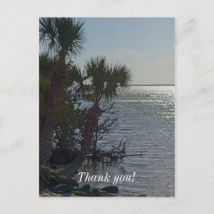 Banana River Palm Trees Painterly Postcard