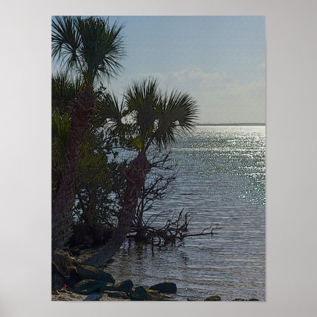 Banana River Palm Trees Painterly Poster (Front)