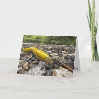 Banana Slug Note Card