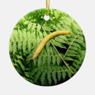 Banana Slug on Ferns I Ceramic Tree Decoration