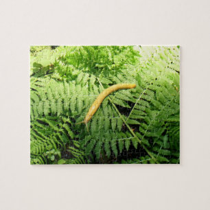 Banana Slug on Ferns I Jigsaw Puzzle