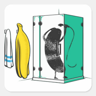 Banana square sticker