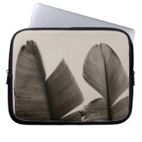 Banana Tree Leaves in Sepia