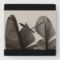 Banana Tree Leaves in Sepia
