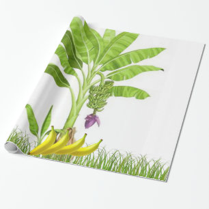 Banana Tree Wrapping Paper