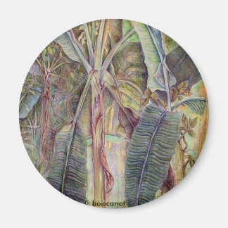 Banana Trees Magnet