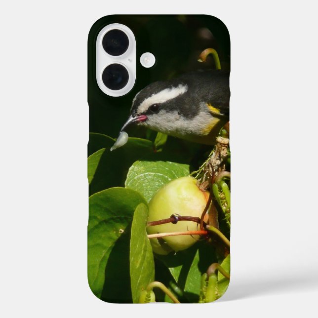 Bananaquit Bird Eating Tropical Photography Case-Mate iPhone Case (Back)