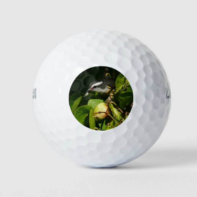 Bananaquit Bird Eating Tropical Photography Golf Balls (Front)