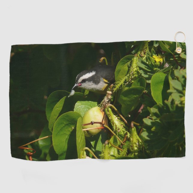 Bananaquit Bird Eating Tropical Photography Golf Towel (Horizontal)