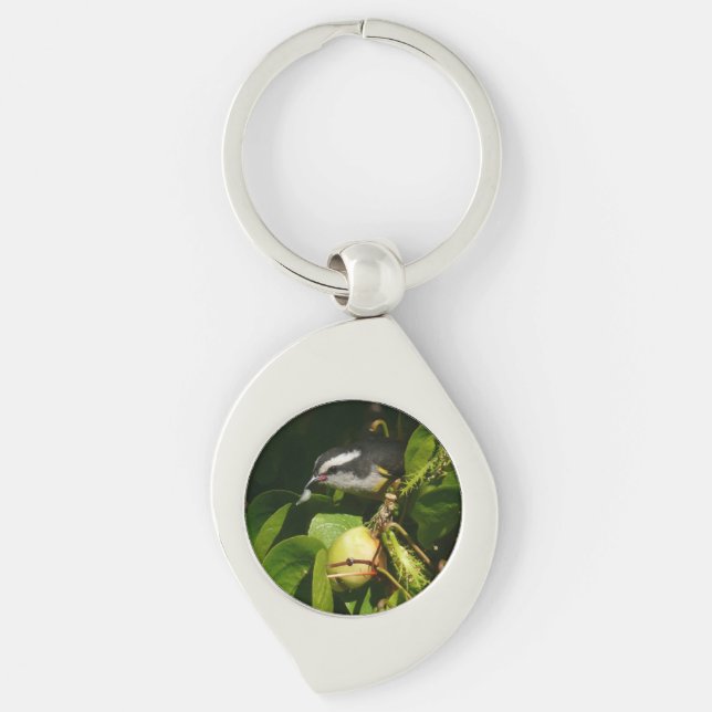 Bananaquit Bird Eating Tropical Photography Key Ring (Front)