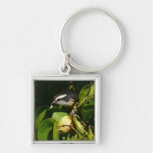Bananaquit Bird Eating Tropical Photography Key Ring