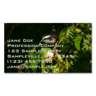 Bananaquit Bird Eating Tropical Photography Magnetic Business Card