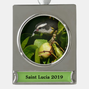 Bananaquit Bird Eating Tropical Photography Silver Plated Banner Ornament