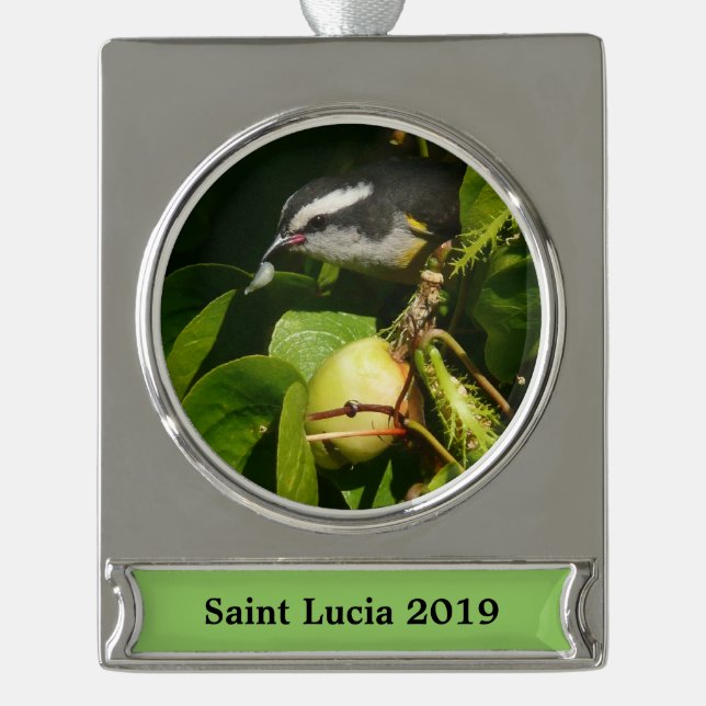 Bananaquit Bird Eating Tropical Photography Silver Plated Banner Ornament (Front)