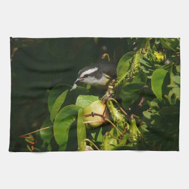 Bananaquit Bird Eating Tropical Photography Tea Towel (Horizontal)