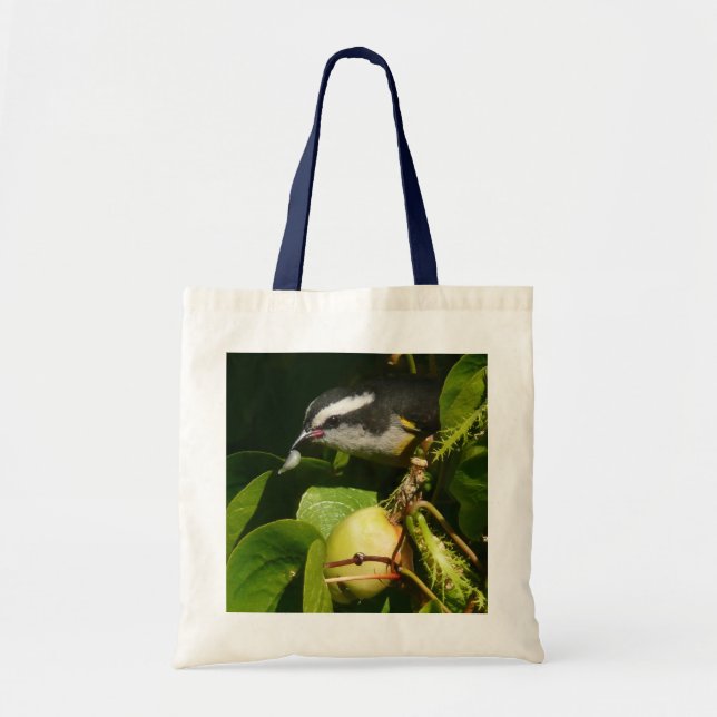Bananaquit Bird Eating Tropical Photography Tote Bag (Front)