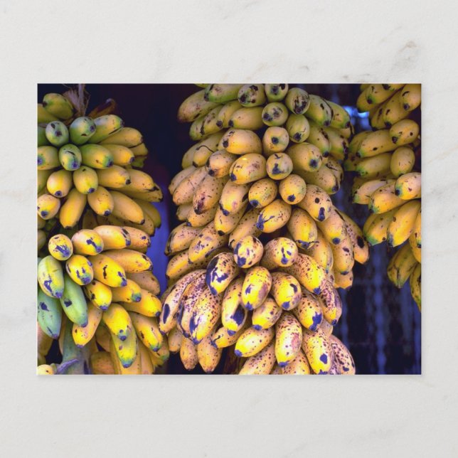 Bananas for sale at market, Puerto Rico Postcard (Front)