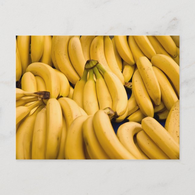 Bananas Postcard (Front)