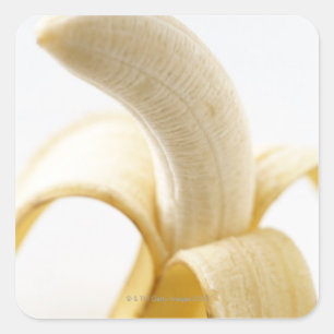 Bananas Square Sticker