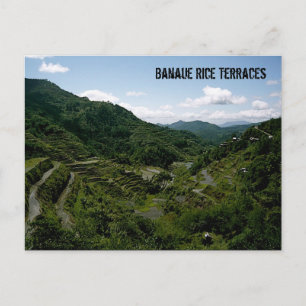 Banaue Rice Terraces Postcard