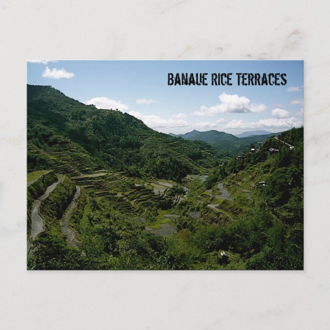 Banaue Rice Terraces Postcard (Front)